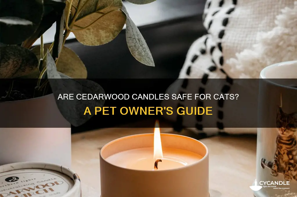 is cedarwood candle safe for cats