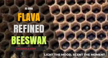 Is Cera Flava Refined Beeswax? Unveiling the Truth Behind the Term