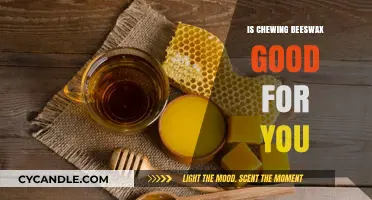 Chewing Beeswax: Uncovering Health Benefits and Potential Risks