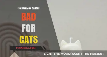 Cinnamon Candles: Are They Safe for Cats?