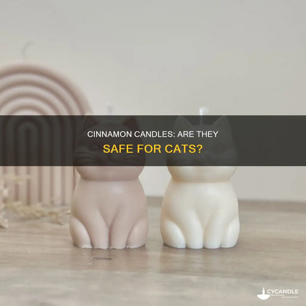 is cinnamon candle bad for cats