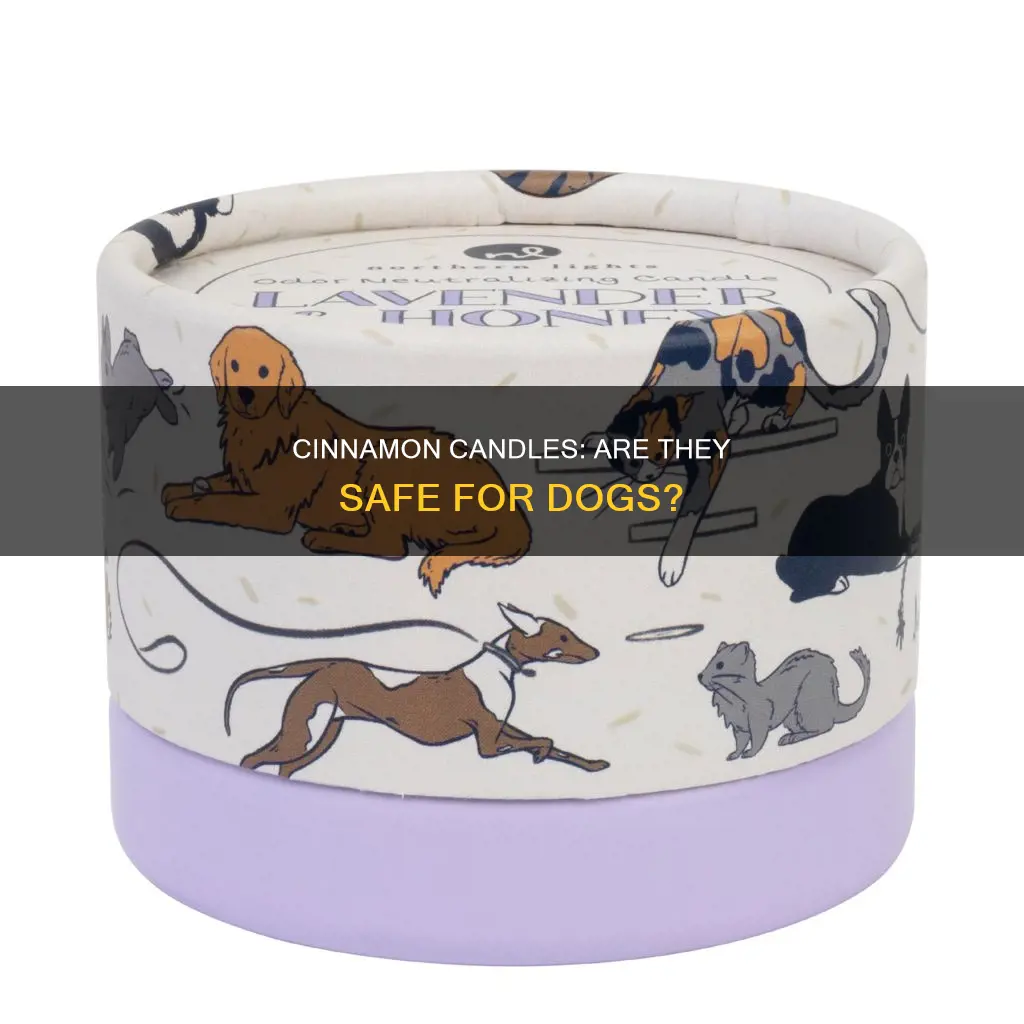 is cinnamon candle bad for dogs