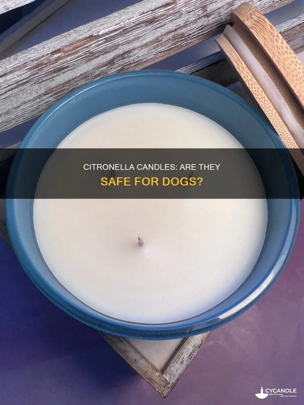 is citronella candle bad for dogs