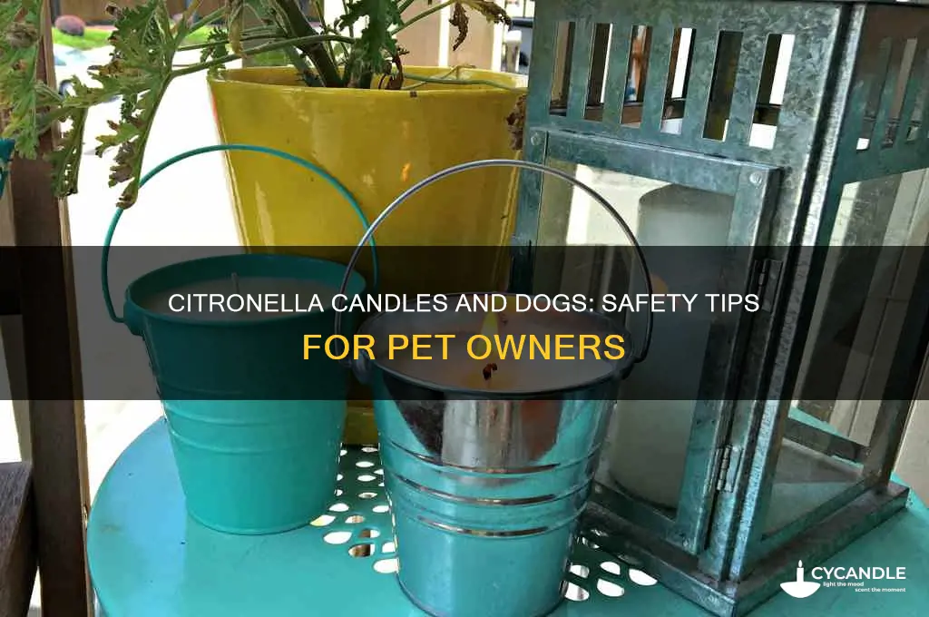 is citronella candle safe for dogs