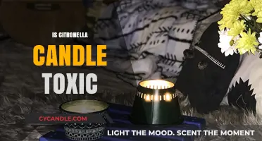 Citronella Candles: Are They Safe or Toxic?
