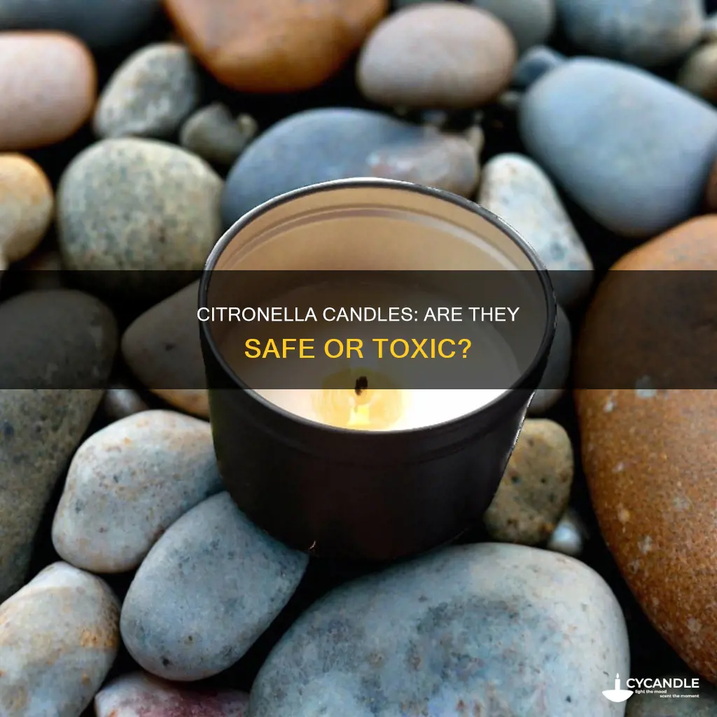 is citronella candle toxic