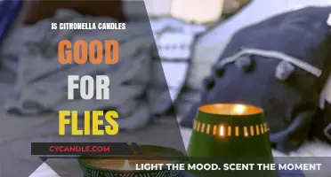 Citronella Candles: Effective Fly Repellent or Myth?