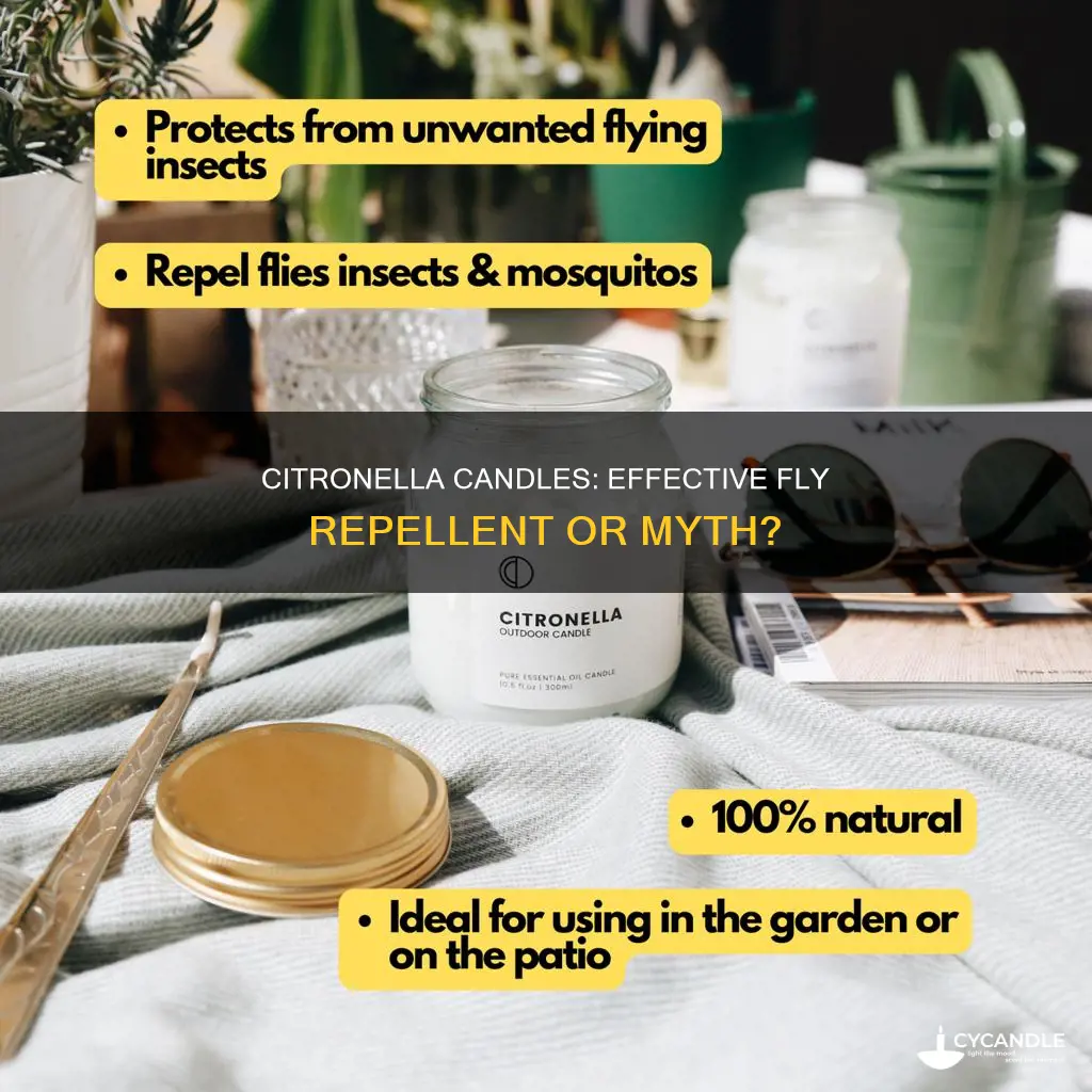 is citronella candles good for flies