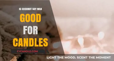 Coconut Soy Wax Candles: Benefits, Burn Quality, and Eco-Friendly Appeal
