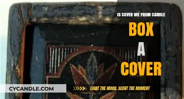 Cover Me: Candlebox's Song a Cover?