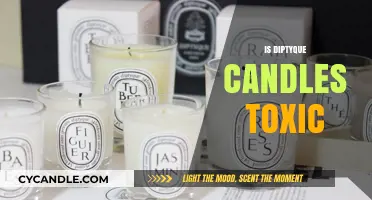 Diptyque Candles: Are They Toxic or Safe?
