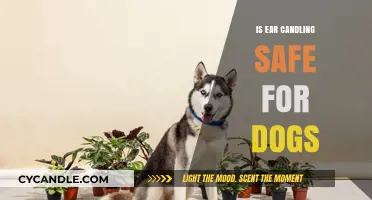 Ear Candling for Dogs: Safe Practice or Risky Trend?