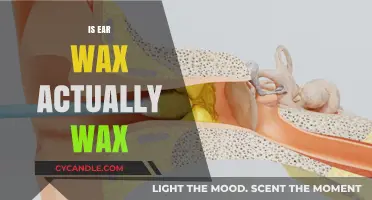 The Truth About Earwax: Is It Really Wax?
