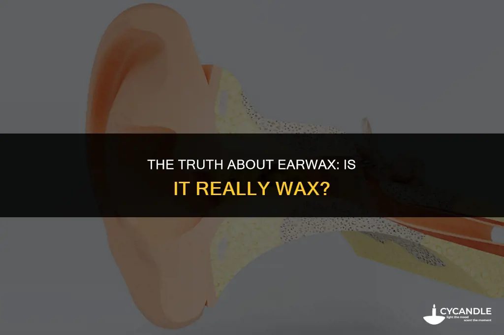 is ear wax actually wax