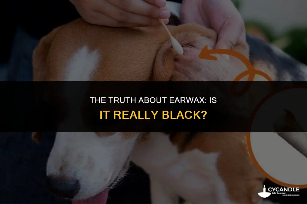 is ear wax black