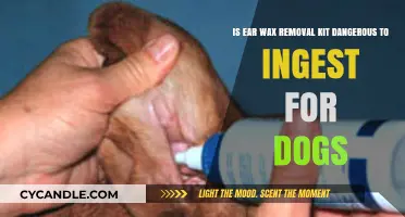 Ear Wax Removal Kits: Are They Safe for Dogs to Ingest?