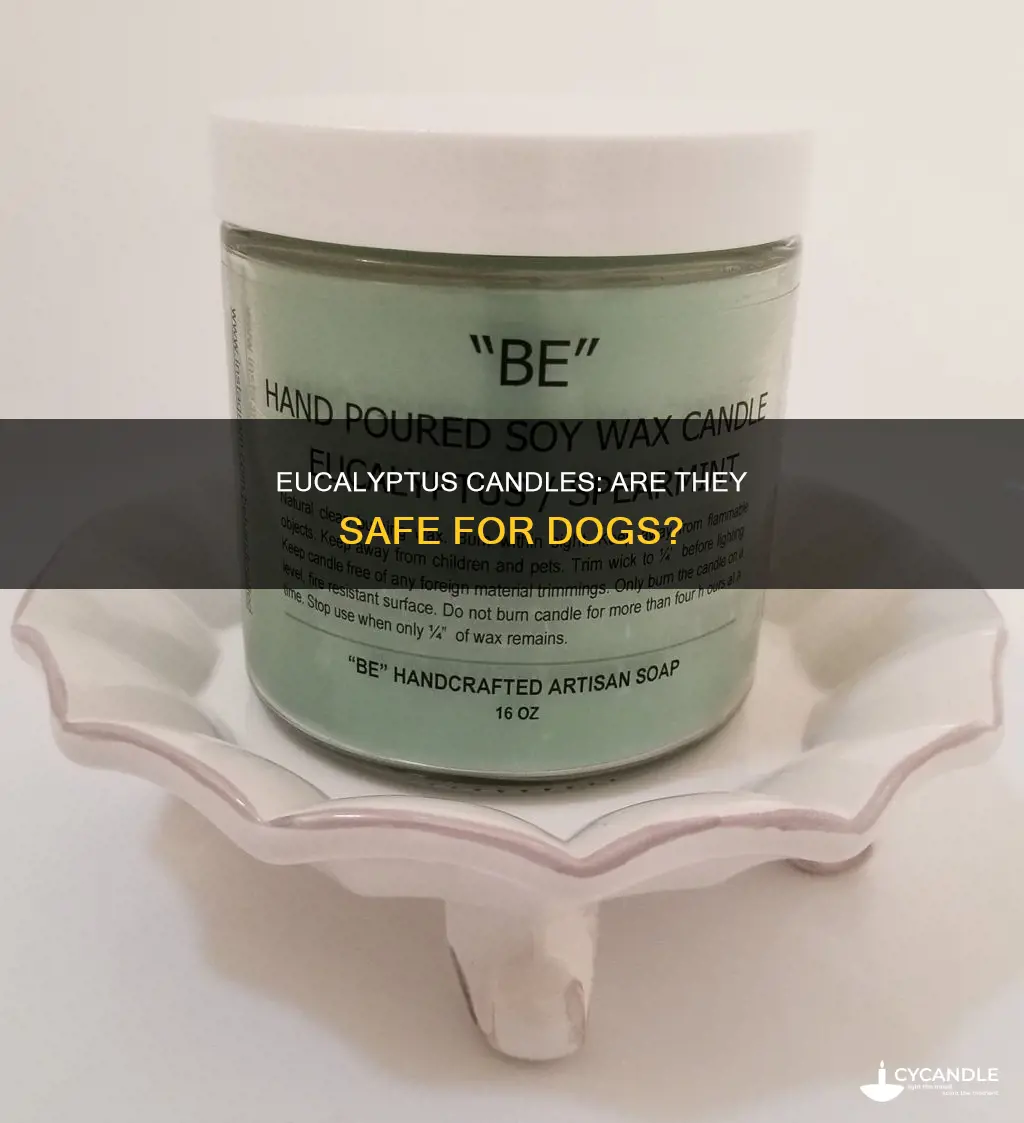 is eucalyptus candle bad for dogs
