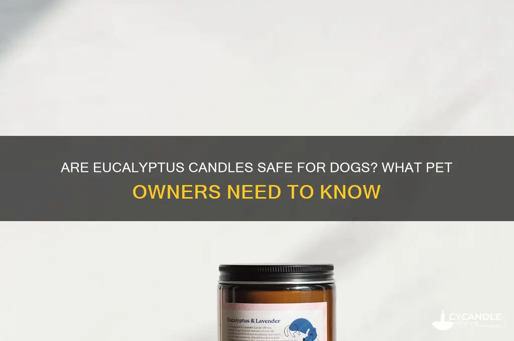 is eucalyptus candle safe for dogs