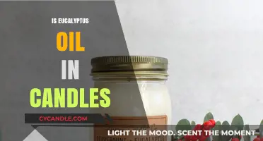 Eucalyptus Oil Candles: Benefits and Uses