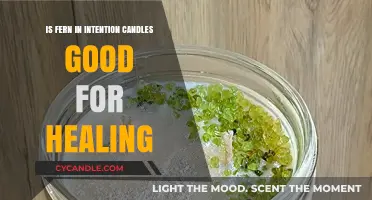 Healing Power of Fern in Intention Candles