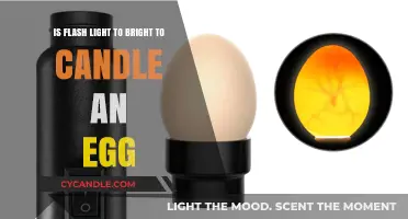 Flashlight vs. Candle: Which Light Source Can Safely Cook an Egg?