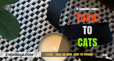 Gardenia Candles: Are They Safe for Cats?