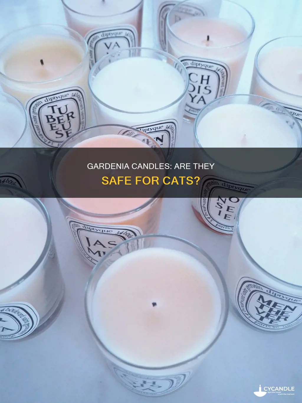 is gardenia candle toxic to cats