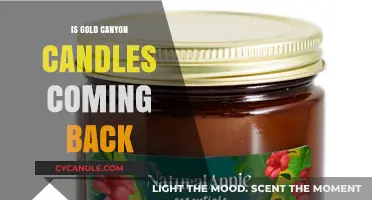 Gold Canyon Candles: Will They Make a Comeback?