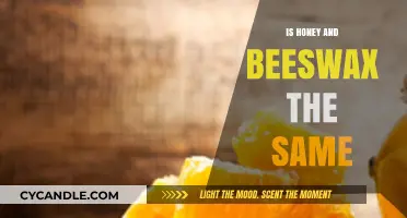 Honey vs. Beeswax: Understanding the Differences and Unique Uses