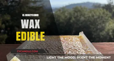 Nature's Sweetness: Exploring the Edibility of Honeycomb Wax