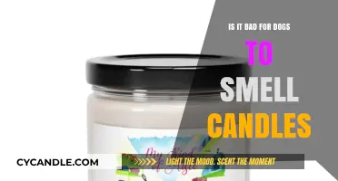 Candle Scents and Dogs: A Dangerous Mix?