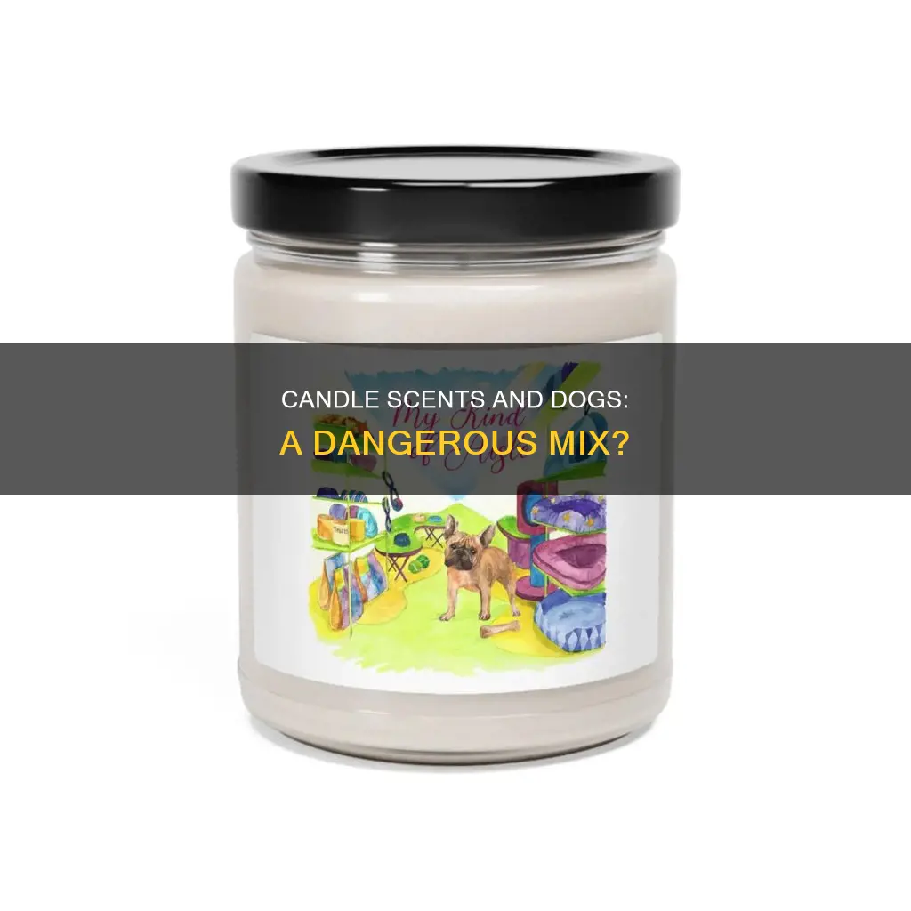 is it bad for dogs to smell candles