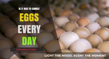 The Pros and Cons of Candling Eggs Daily