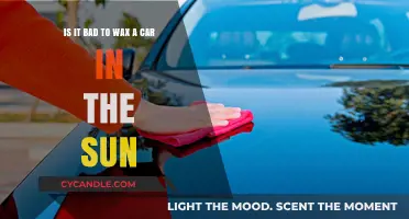 Sunny Day Car Waxing: Pros, Cons, and Best Practices