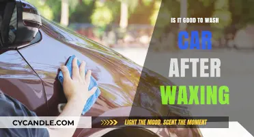 The Ultimate Guide to Car Care: Waxing and Washing Tips