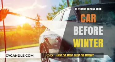 Winterizing Your Ride: The Benefits of Waxing Before the Cold Sets In