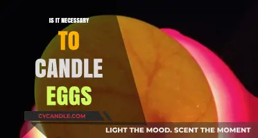 Candling Eggs: Is It Worth the Effort?