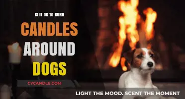 Candles and Canines: Safe Practices for Burning Around Dogs