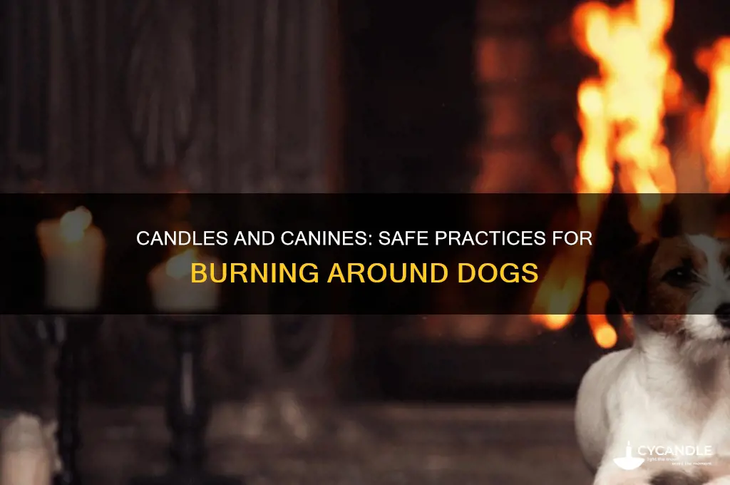 is it ok to burn candles around dogs