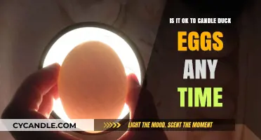 Candling Duck Eggs: When is the Right Time?