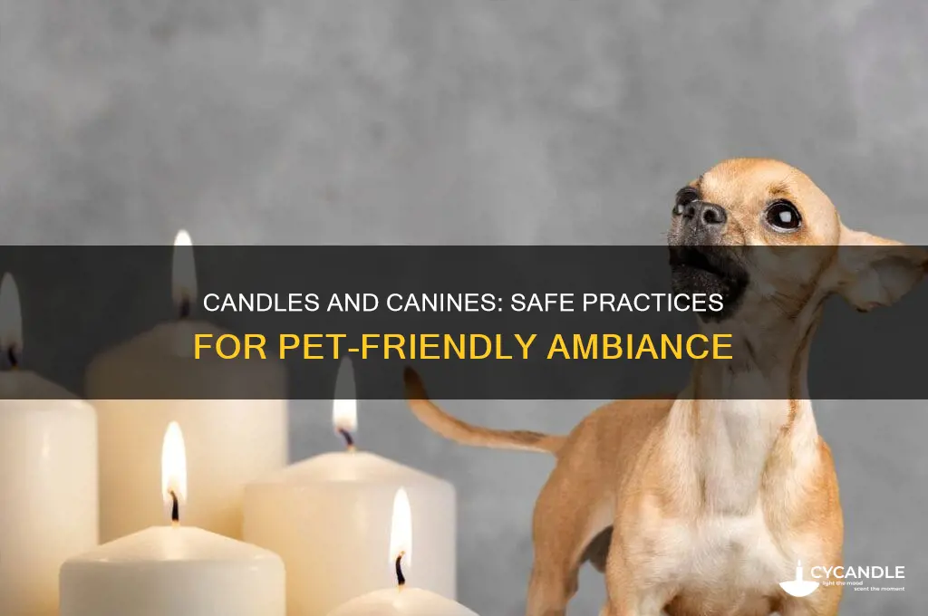 is it ok to light candles around dogs