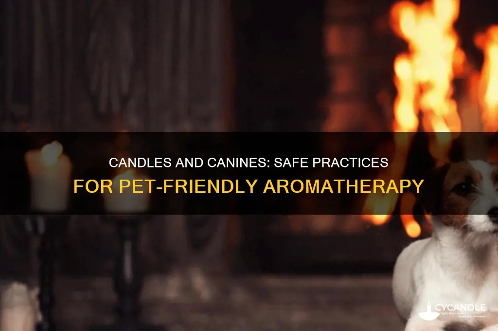 is it ok to use candles around dogs