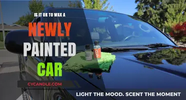 Should You Wax Your Newly Painted Car? Expert Advice