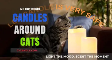 Candles and Cats: Safe Practices for Feline-Friendly Aromatherapy