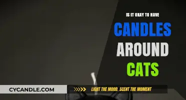 Candles and Cats: A Safe Combination?