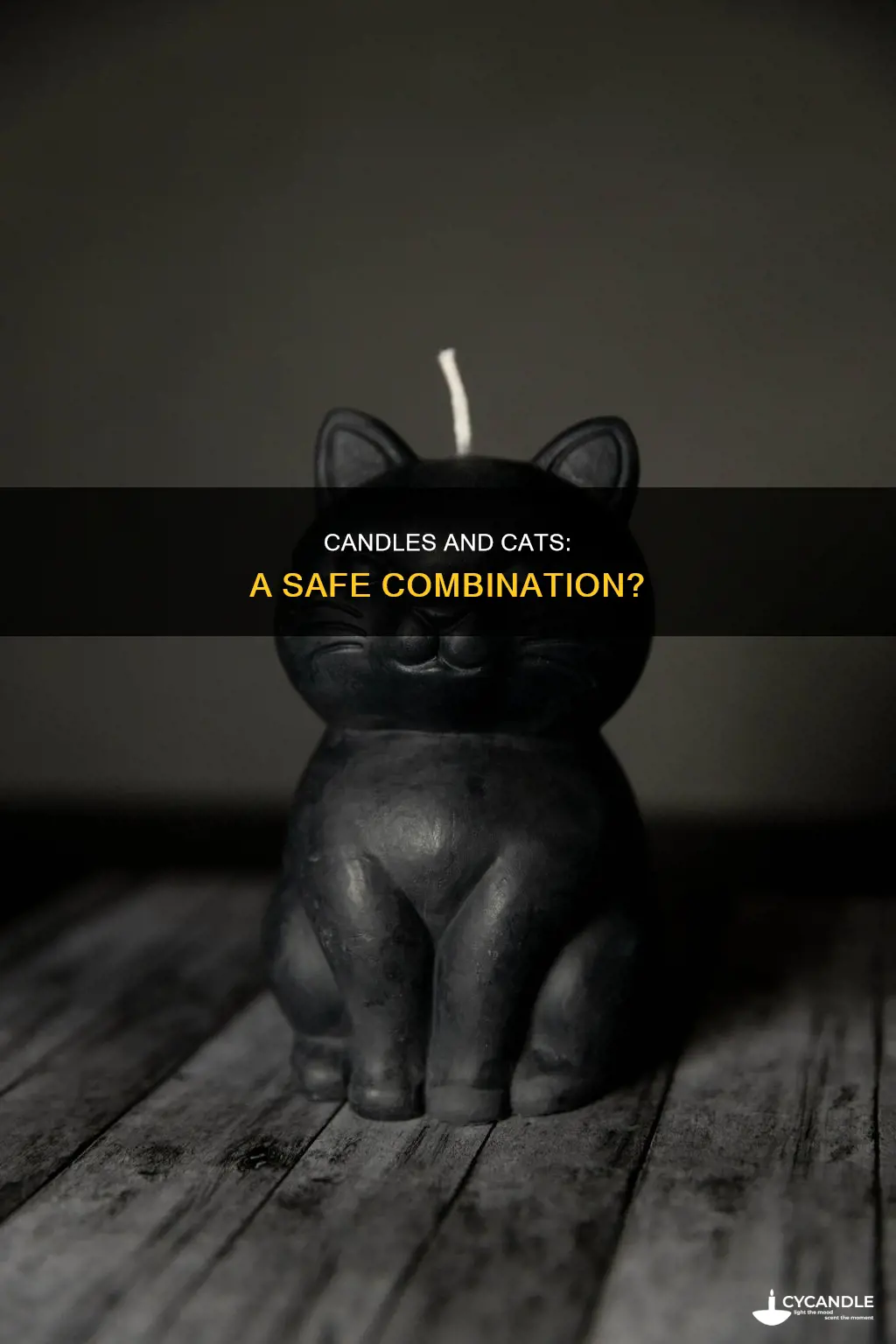 is it okay to have candles around cats