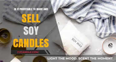 Profitable Soy Candle Business: Crafting, Selling, and Earning Potential