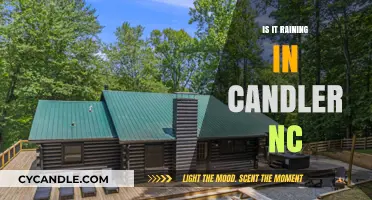 Weather Alert: Rain in Candler, NC
