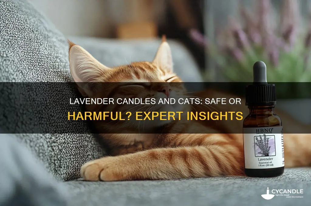 is it safe to burn a lavendar candle around cats