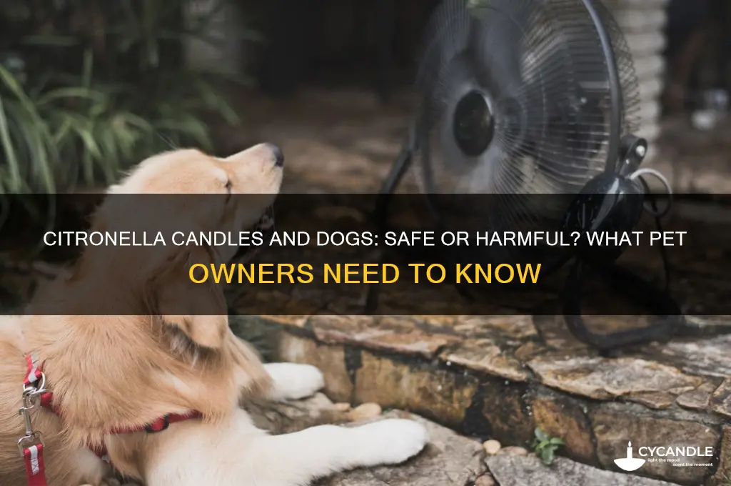 is it safe to burn citronella candles around dogs
